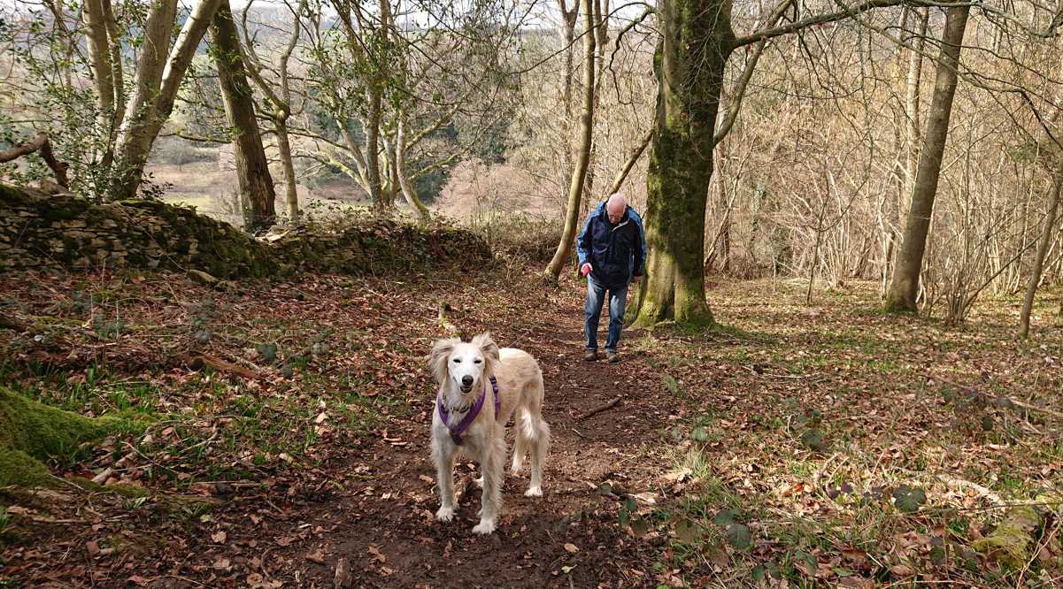 Woodland climb.