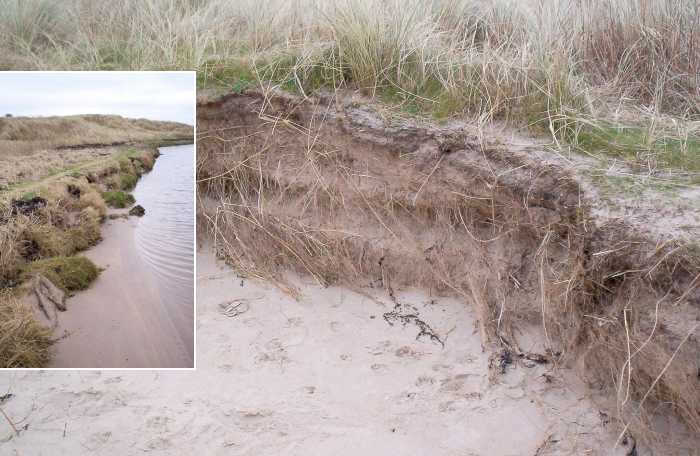 The side of the Annstead burn, south of Seahouses village.