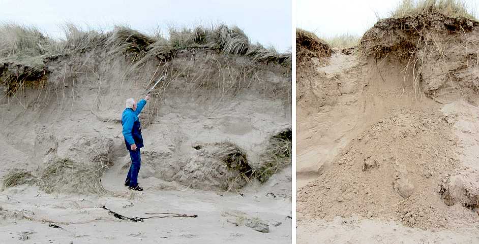 Sand cliff near the Annstead burn.