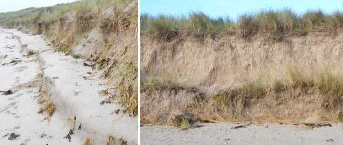 Summer sand movements.