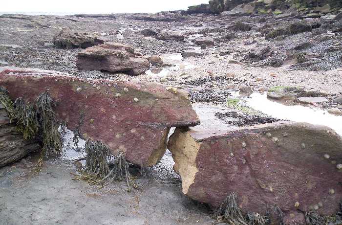 Below the golf course cliffs.