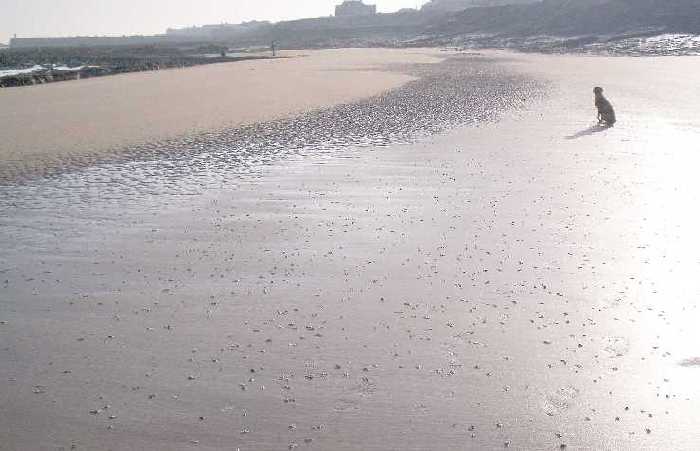 The Seafield rocks and harbour end of the village from Seahouses north beach.