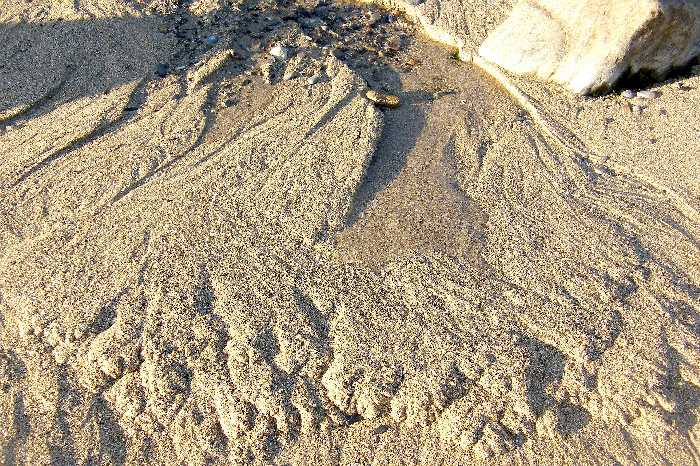 A substantial spring flow disappears into the sand.