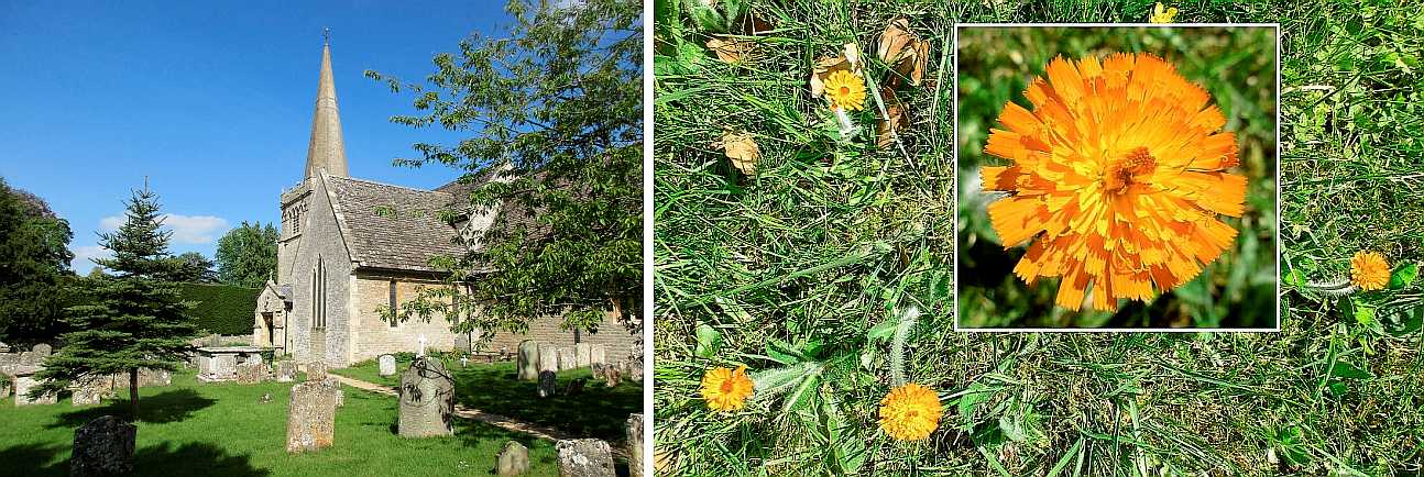 The church and flowers.