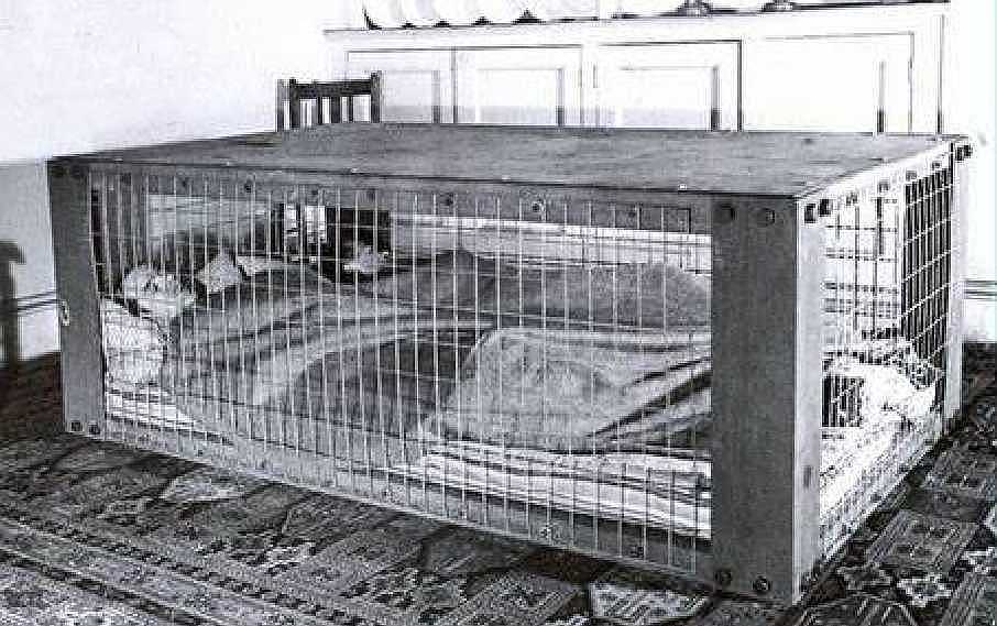 A Morrison shelter.