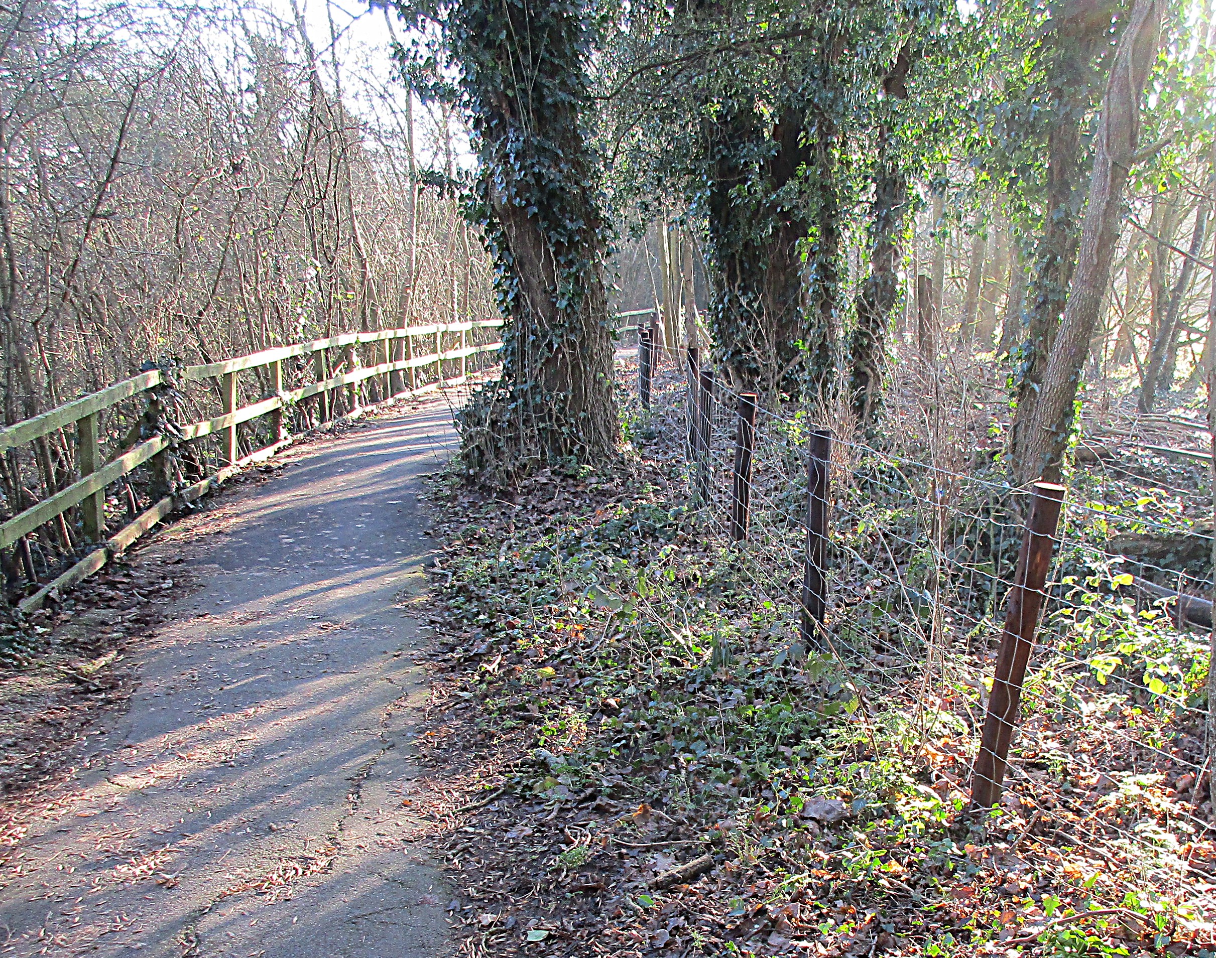 New post and wire fence.