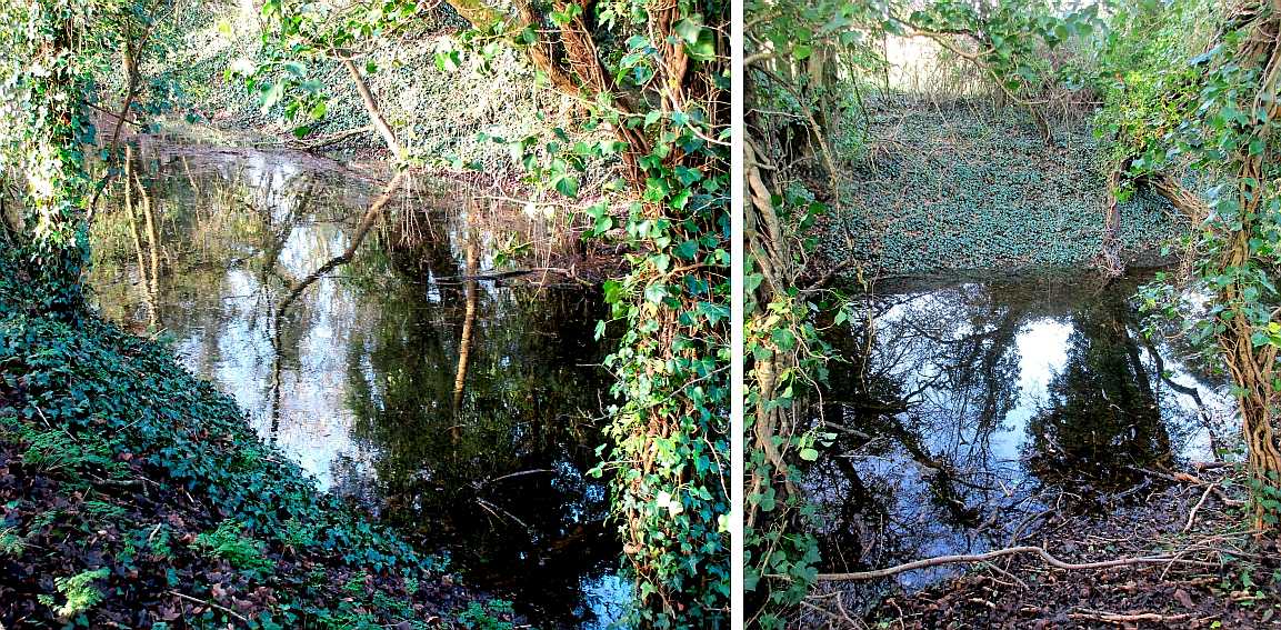 Water in the canal.
