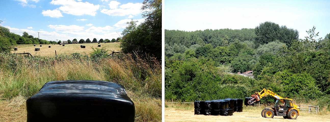 Haylage bales.