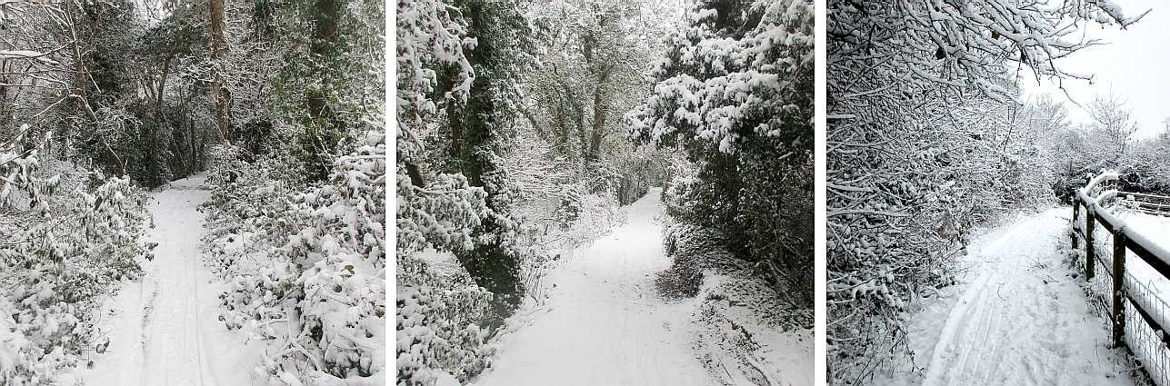 New snow on the footpath.