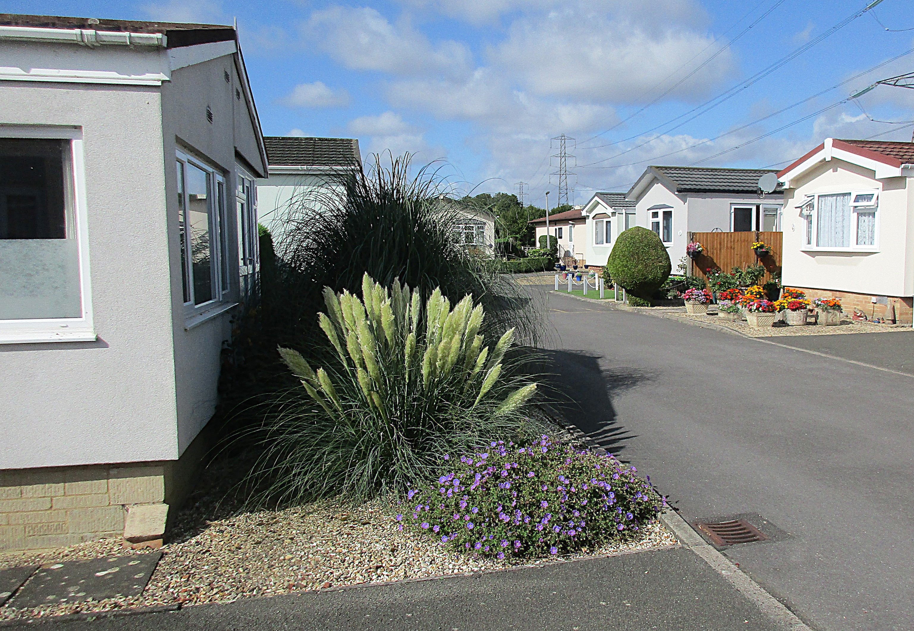 Some 'front gardens'.